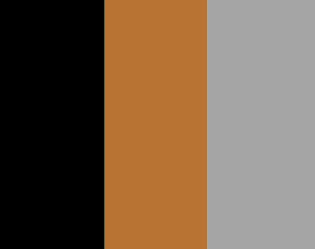 Eine Farbpalette aus Schwarz, Kupfer und Grau Eine Farbpalette aus Schwarz, Kupfer und Grau