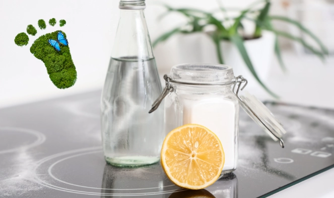 Essig in der Flasche, Natron im Weckglas und aufgeschnitte Orange liegen auf einer Herdplatte. Oben links ein Fußabdrück im Grasmuster mit Schmetterling. Essig in der Flasche, Natron im Weckglas und aufgeschnitte Orange liegen auf einer Herdplatte. Oben links ein Fußabdrück im Grasmuster mit Schmetterling.